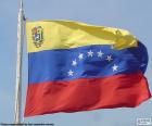 Venezuela, bayrak renkleri sarı, mavi ve kırmızı, eşit büyüklükte mavi şerit içinde sekiz yıldız bir yay ile üç yatay çizgiler oluşur